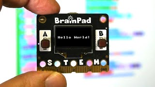 BrainPad Pulse [upl. by Xilef]