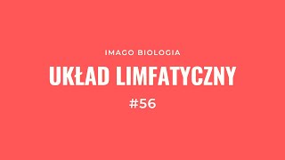 Układ limfatyczny [upl. by Sasha444]