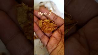 use dry leaves in creative way art artandcraft artist [upl. by Elayor]