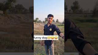 y4m  young4men  funy dog comedy funy Round2hellTopRealTeam [upl. by Revned735]