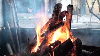 fire bonfire flame fire video effects [upl. by Anomer459]