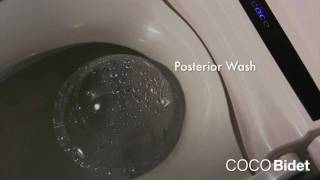 COCO 9500R Bidet Official Video [upl. by Hesper]