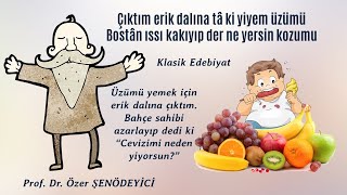 TASAVVUFÎ ŞİİR ŞERHİ  Çıktım Erik Dalına Yunus Emre  Niyazii Mısri Prof Dr Özer ŞENÖDEYİCİ [upl. by Yreneh766]