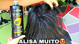 ALISA MUITO PROGRESSIVA SHIELD BLINDAGEM DINÂMICA PLANCTON  Geisiane Prazeres Influencerplancton [upl. by Adnohral]