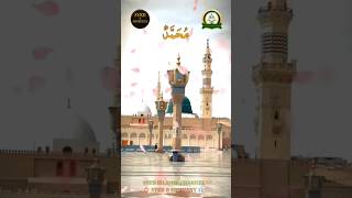 Maula Ya Salli Wa Sallim Qasida Burda Sharif Qaseeda Burdha Shareef قصیدہ برداشریف IslamicVideo [upl. by Uhile]