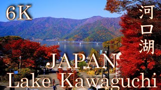 日本の絶景『河口湖もみじ回廊と富士山』Japan “Lake Kawaguchi maple corridor and Mt Fuji” LUMIX S1 河口湖 遊覧船 【6K】 [upl. by Atnoled376]