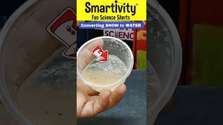 Instant Snow 🌨️ Back to Water 🤯 But How 🤔 ytviral experiment science diy explore ytshorts [upl. by Nnayllas842]