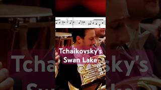 Tchaikovskys Swan Lake No 10 Scène Horn Solo [upl. by Sebastian4]