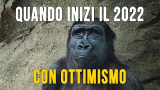 Quando inizi il 2022 con ottimismo [upl. by Marquis]