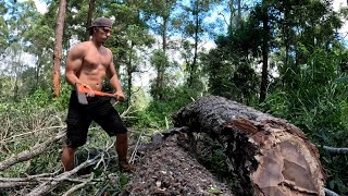 Firewood Chopping on the Property [upl. by Garwood134]