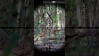 Airsoft Gameplay  Hits 44 airsoft gameplay fun sports combat [upl. by Eyde]