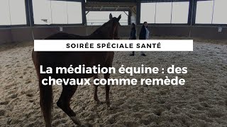 La médiation équine  des chevaux comme remède [upl. by Ahtelahs10]