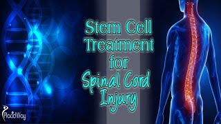 Stem Cell Treatment for Spinal Cord Injuries [upl. by Einal]