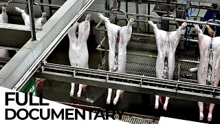 How the MEAT Industry is Damaging Small Producers and the Environment  ENDEVR Documentary [upl. by Dulcie]