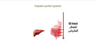 الجهاز الوريدي  فسيولوجي انتومي Portal Venous Systems Hepatic Portal System [upl. by Seni]