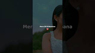 Rondi Tere Layi  Babbal Rai  Full Screen Lyrics Whatsapp Status  New Punjabi Song  Moni08 [upl. by Eustatius]