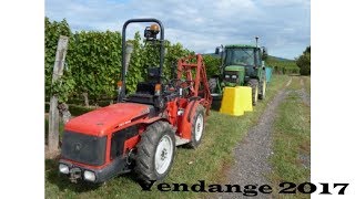 Vendanges 2017 en alsace [upl. by Lindsey]