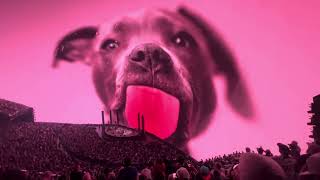 Phish Sphere  41924 Car Wash part 2 into Dog Licking 4K [upl. by Caldeira411]