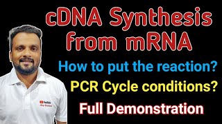 cDNA synthesis from mRNA  How to setup the reaction  Calculation amp PCR Conditions  Full Details [upl. by Neelram632]