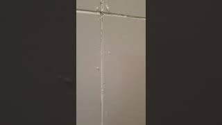 Trapped water behind shower tiles [upl. by Ahsennek394]