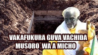 Vakafukunura Guva Vakatora Musoro Vachisiya Mapfupa PanzeVachida Musoro WaMicho foryou viral fyp [upl. by Rickey]