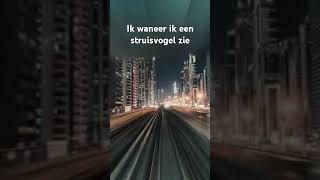 Ik waneer ik een struisvogel zie [upl. by Shultz385]