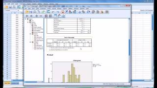 Normality Tests in SPSS [upl. by Eelyak]