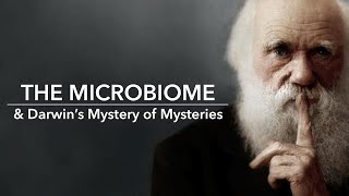 Seth Bordenstein The Microbiome and Darwins Mystery of Mysteries [upl. by Sedda167]