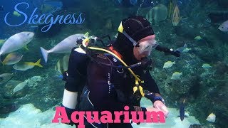 Aquarium amp Shark Diving 4k Video Relaxing Fish Stingray amp Shark Tanks [upl. by Clabo]