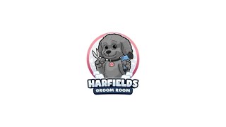 Harfields Groom Room – Dog Groomer in Curdridge [upl. by Sherye]