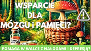 Muchomor czerwony Wsparcie dla mózgu i pamięci Pomaga w walce z nałogami i depresją [upl. by Adnirolc]