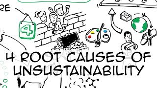 4 root causes of unsustainability [upl. by Sebastiano]