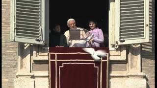 Seagull attacks dove after Pope releases it to mark arrival of peace caravan in Rome [upl. by Ahsemrac682]