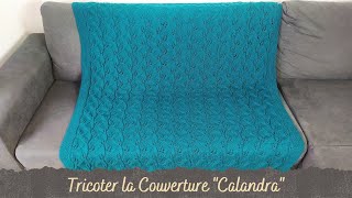 TUTO TRICOT  Tricoter la couverture quotCalandraquot [upl. by Esch]