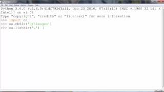 Python tutorial  How to Rename Files in Python  Example [upl. by Gathers]