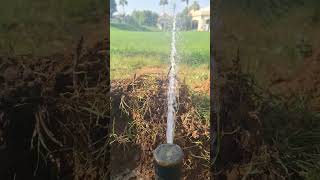 Rain Bird rotors sprinkler How to install Rain Bird rotors sprinkler irrigationsystem [upl. by Aerised]