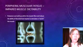 Yr 12 Fatigue Mechanisms [upl. by Lupee886]