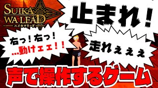 『究極の指示待ち人間』を声で操作してスイカを割るのだっ！！【SUIKAWA LEAD スイカワリード】 [upl. by Catarina]