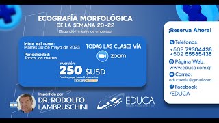 Curso Online Ecografía Morfológica de la Semana 2022 [upl. by Hepzi]