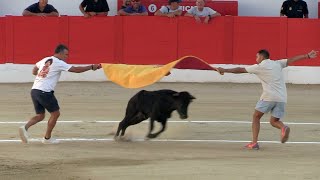 Suelta de vaquillas en la Mezquita del Toreo ante numerosos jóvenes [upl. by Bigler]