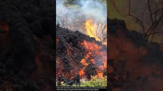 Which Type of Lava Flow is Fastest [upl. by Aerdno]