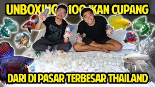 UNBOXING 100 BETTA FISH DI PLASTIK HASIL HUNTING PASAR HEWAN TERBESAR THAILAND SIAP KE INDONESIA [upl. by Karney]