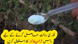 How to use NPK 20 20 20 liquid fertilizer [upl. by Beare]