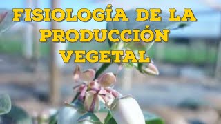 Fisiología de La Producción Vegetal [upl. by Ronym]