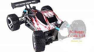 Buggy RC coche escala 118 Goolsky Wltoys A959 [upl. by Oihsoy]