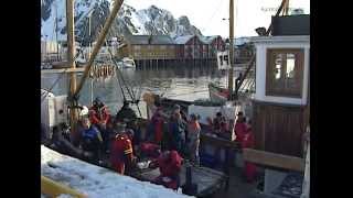 VM i Skreifiske Svolvær  Del 4 Jakten På Storfisken sportsfiske i Lofoten Sportfishing Norway [upl. by Alfons]