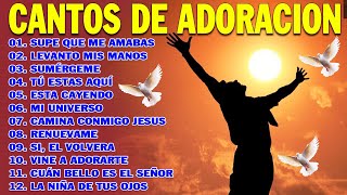 PODEROSAS CANCIONES CRISTIANAS PARA LIBERAR TU MENTE Y EL CORAZÓN 🕊️🕊️ SUPE QUE ME AMABAS 🙏🙏 [upl. by Natsreik217]