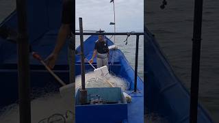 Indo pescar em alto mar altomar pesca oceano barco embarcação pescaria pescando mar [upl. by Alejo]