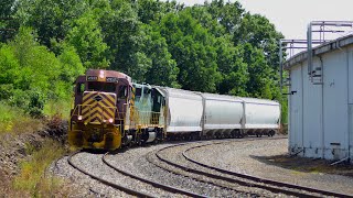 Two Local Trains in 15 Minutes on the Lehigh Division [upl. by Nolaj]