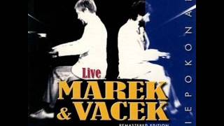 Marek amp Vacek  Dla Elizy For Elise Live [upl. by Nafis]